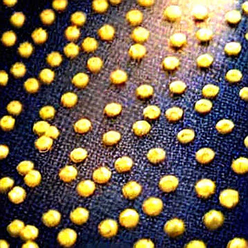 The 99.8% Certainty Trap: Why Crypto's Favorite Bottom Narrative Is Leaking The 99.8% Certainty Trap: Why Crypto's Favorite Bottom Narrative Is Leaking
