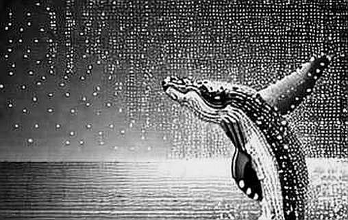 The Macro Mirage: Bitcoin’s Jobs Data Bounce and the Silent Supply Storm The Macro Mirage: Bitcoin’s Jobs Data Bounce and the Silent Supply Storm